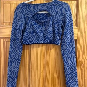 Blue Zebra Print Long Sleeve Crop Top
